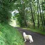Dog-friendly In The Knuell Tatil Evi *
