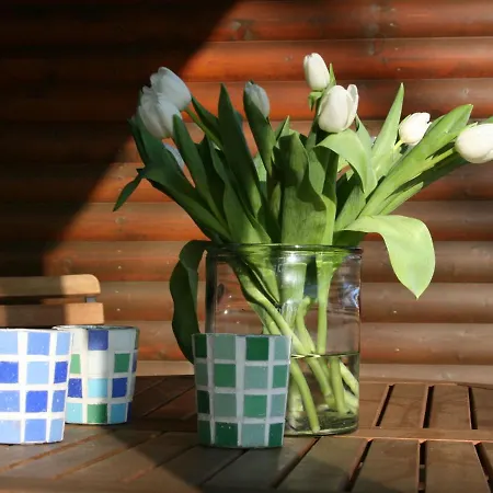 Dog Friendly Holiday In The Kn Ll Ferienhaus Neuenstein (Hessen)