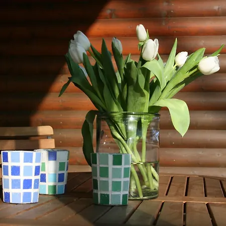 Dog-friendly In The Knuell Neuenstein (Hessen)