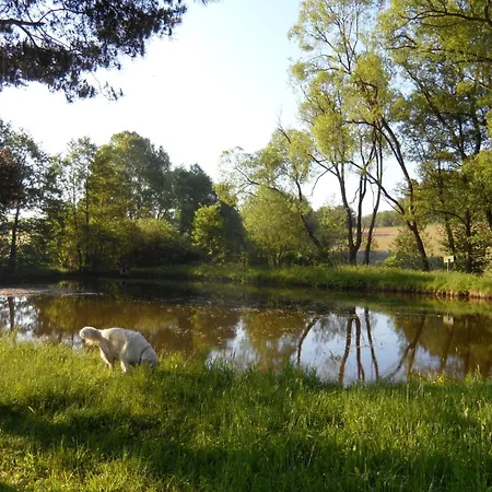 Dog-friendly In The Knuell Ferienhaus *