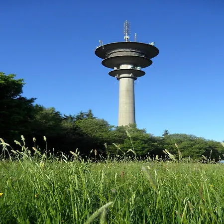 Dog-friendly In The Knuell *