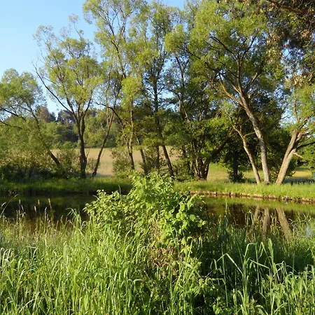 Dog-friendly In The Knuell * Neuenstein (Hessen)