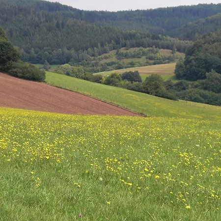 Ferienhaus Dog-friendly In The Knuell *