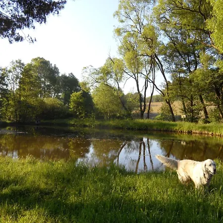 Dog-friendly In The Knuell Ferienhaus Neuenstein (Hessen)