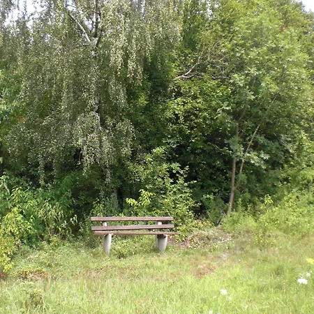 Dog-friendly In The Knuell Neuenstein