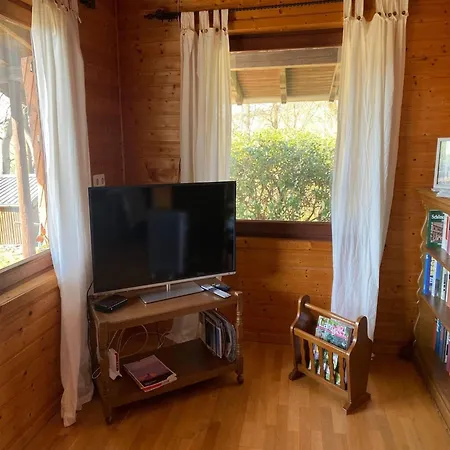 Dog-friendly In The Knuell *