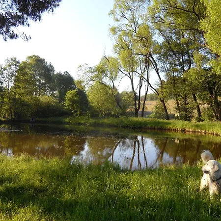Dog-friendly In The Knuell Holiday home