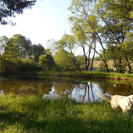 Dog Friendly In The Kn Ll