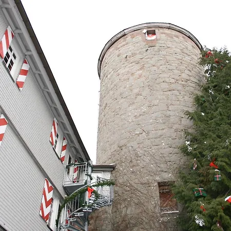 Dog Friendly In The Kn Ll Ferienhaus Neuenstein (Hessen)