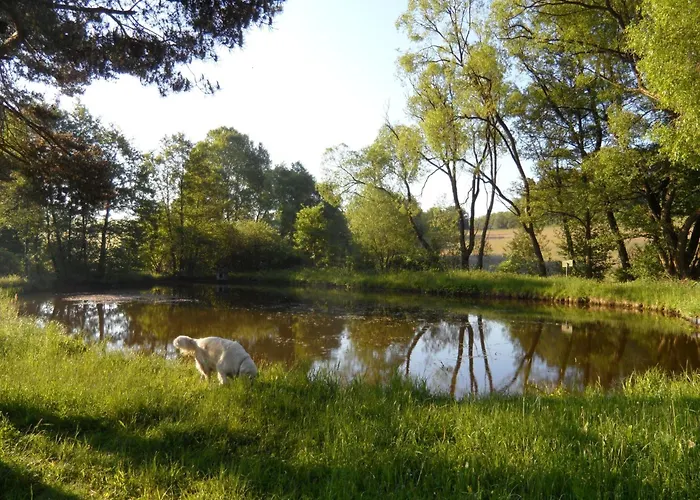 Dog-friendly In The Knuell بيت للعطل *