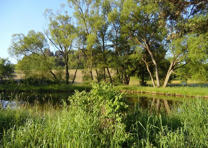 Dog-friendly In The Knuell * Neuenstein (Hessen)