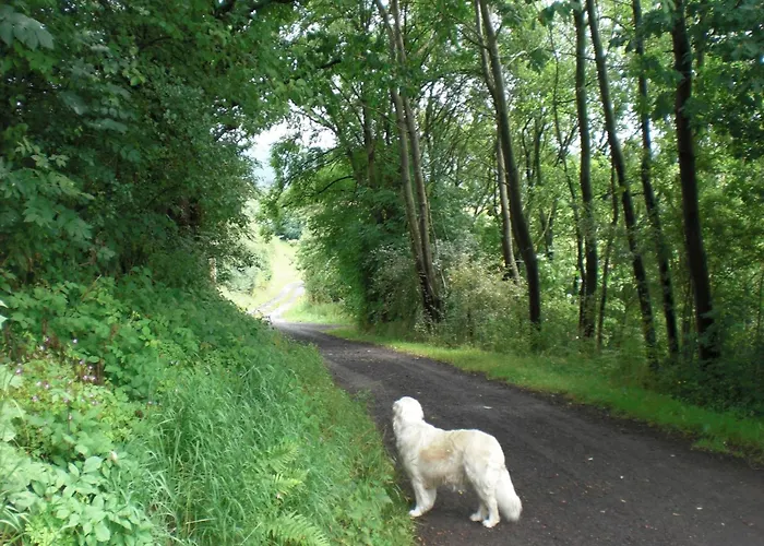 Dog-friendly In The Knuell بيت للعطل *