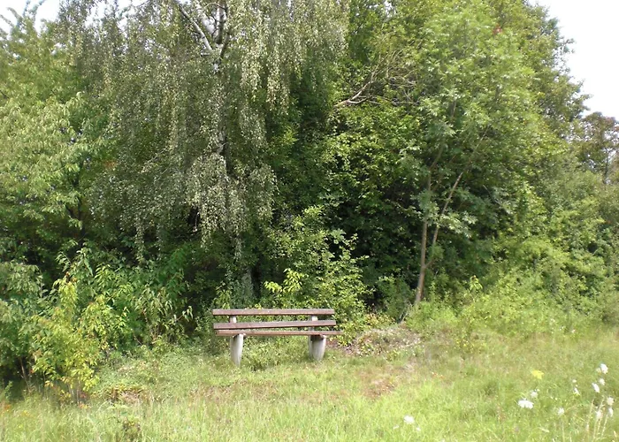 Dog-friendly In The Knuell Neuenstein (Hessen)